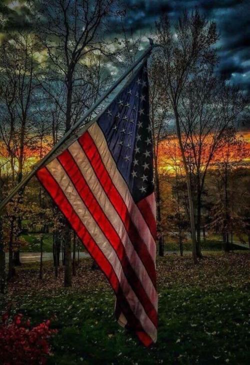 8F432449-6BC3-4B04-B49C-5FFB6342AE9C