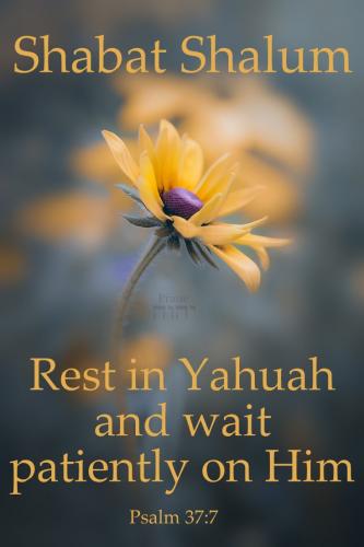 af5c59114265449d221b07a17a18b560