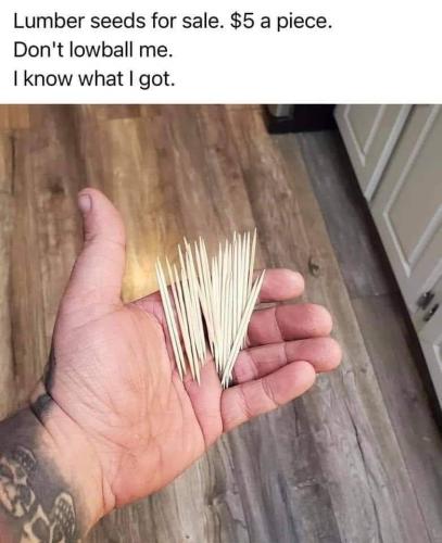 09:08:15 GMT-0400 (EDT)