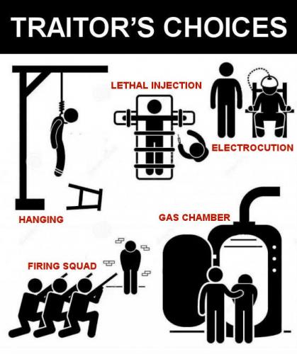treason84