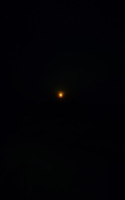 inbound4713641927062817117