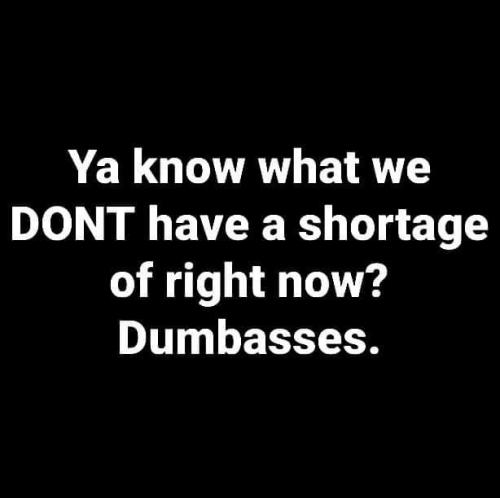 15:33:31 GMT-0400 (EDT)