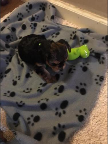 16:22:31 GMT-0600 (MDT).image