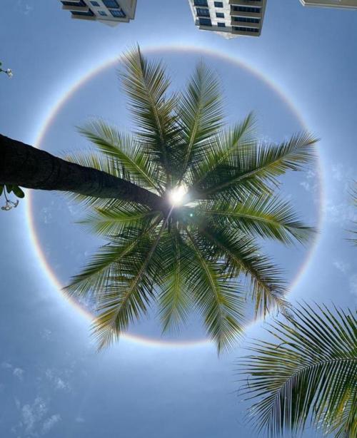 18:20:00 GMT-0400 (EDT)