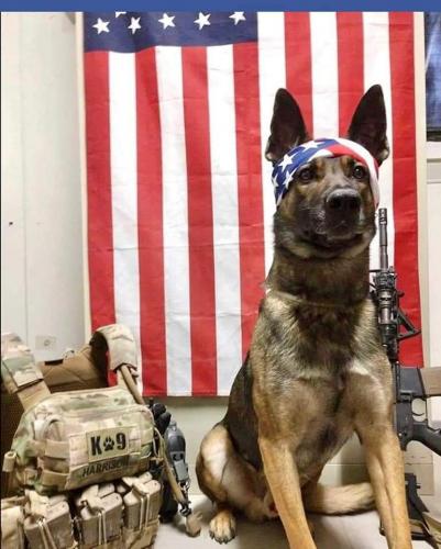 06:15:50 GMT-0400 (EDT)