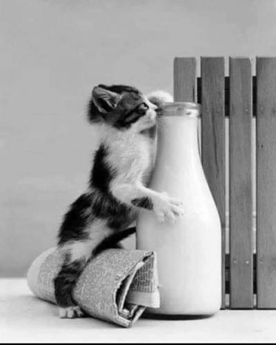 18:39:15 GMT-0500 (CDT)