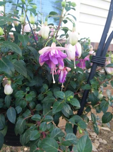 received_1060601718018913