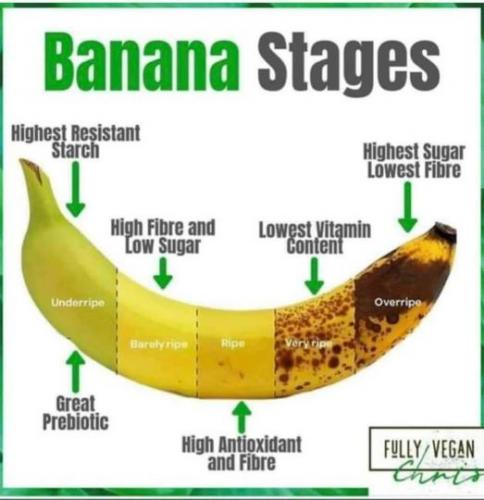 Banana_Stages