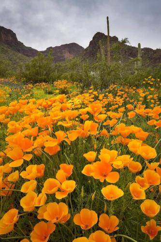 13:46:51 GMT-0400 (EDT)