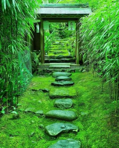 187433495_320242576138418_6257946992859531449_n