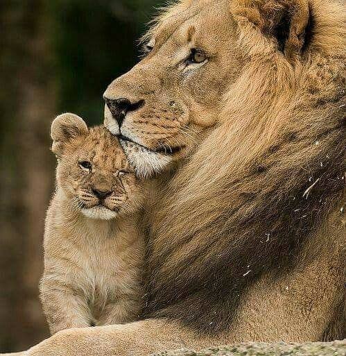 IMG_20210511_154819_636