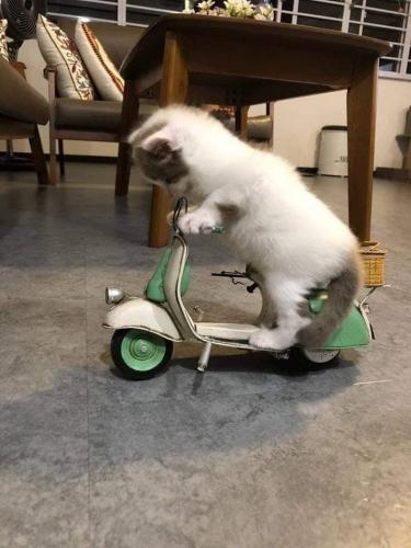 18:37:29 GMT-0500 (CDT)