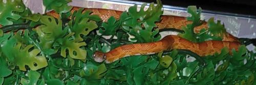 20:23:44 GMT-0400 (EDT)