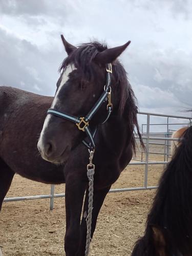 IMG_20210425_132953434