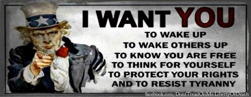 311203_456255824413674_715516232_n_456255824413674