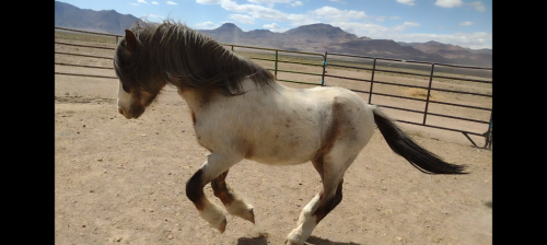 Screenshot_20210510-202019