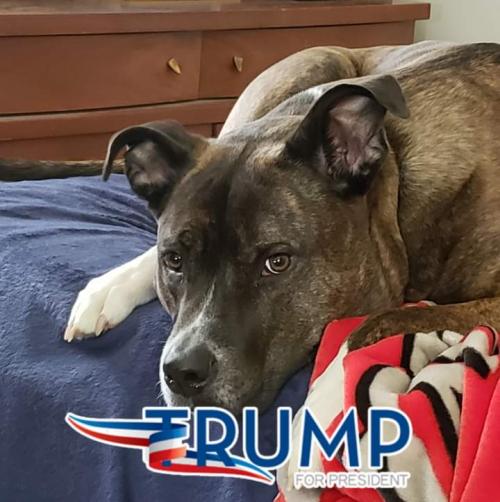 FB_IMG_1619139577080