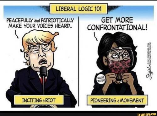 liberal logic 101