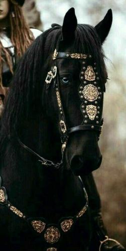 18:46:57 GMT-0500 (CDT)