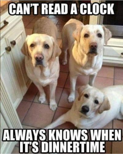 16:54:42 GMT-0400 (EDT)