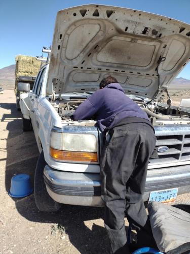 IMG_20210510_093533628