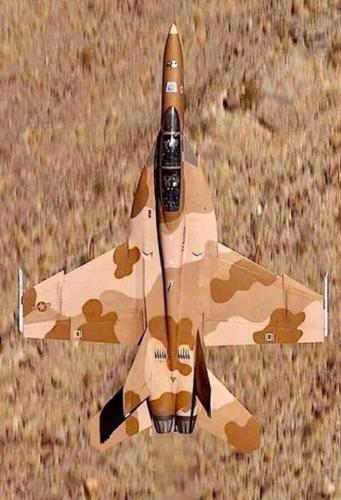 184366651_291933655899899_4431516581977179258_n