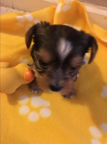 16:22:31 GMT-0600 (MDT).image