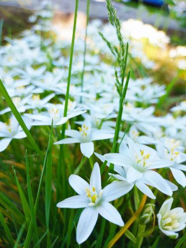 22:40:09 GMT-0400 (EDT)