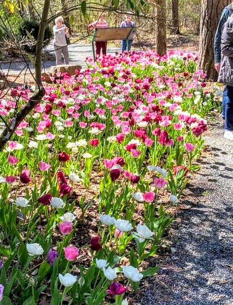 06:02:59 GMT+0100 (WAT).png