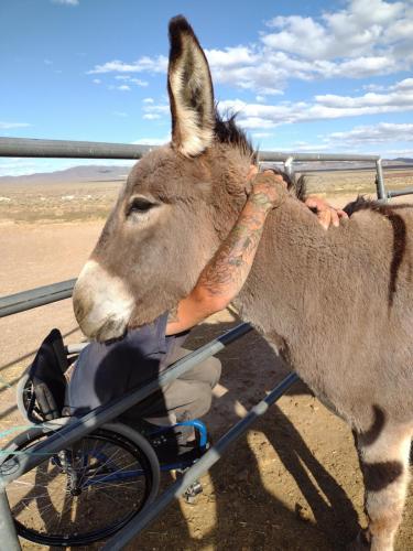 IMG_20210509_174152126