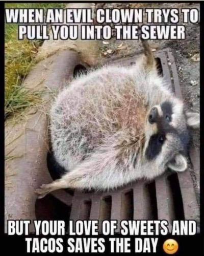 19:17:50 GMT-0400 (EDT)