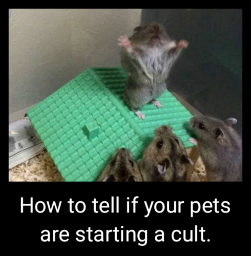 07:58:55 GMT-0500 (CDT)