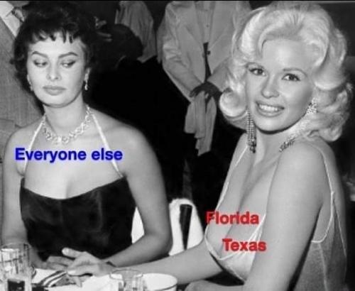 Restricted lockdown states are everyone else