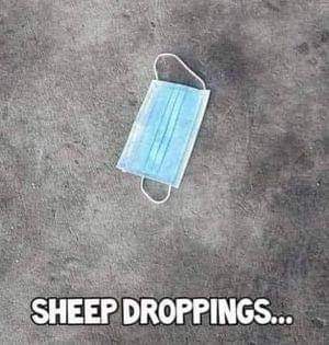 16:28:50 GMT-0400 (EDT)