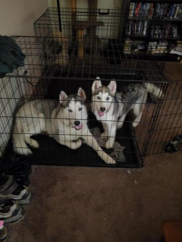 10:04:28 GMT-0400 (EDT)