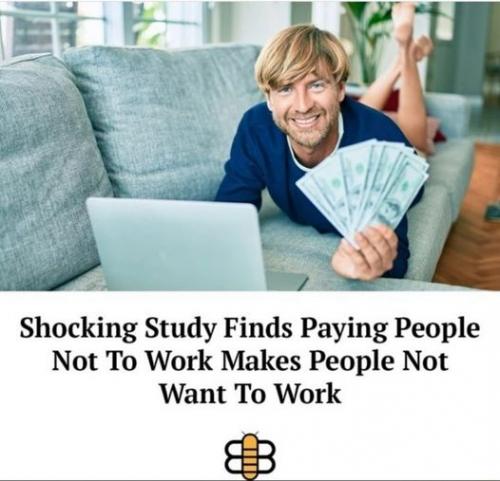 183633369_338383054375558_7360904580309560475_n