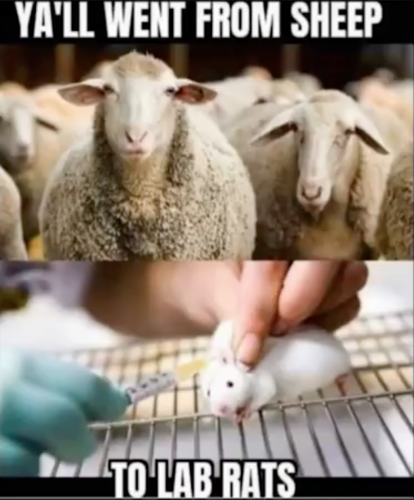 21:13:24 GMT-0400 (EDT)