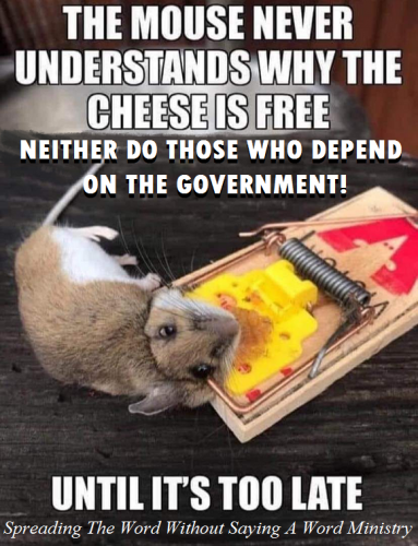 183309427_252141653371504_5674620395950811061_n