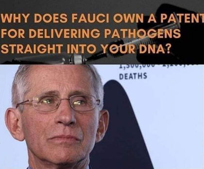 fauci44