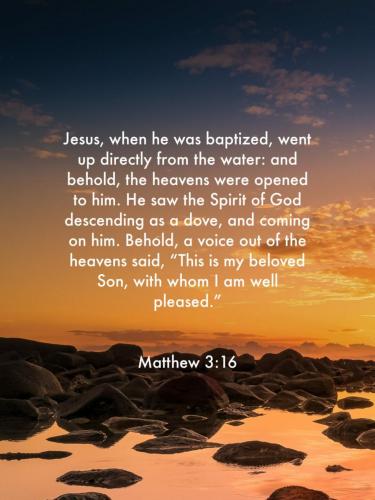 11:30:35 GMT-0400 (EDT)