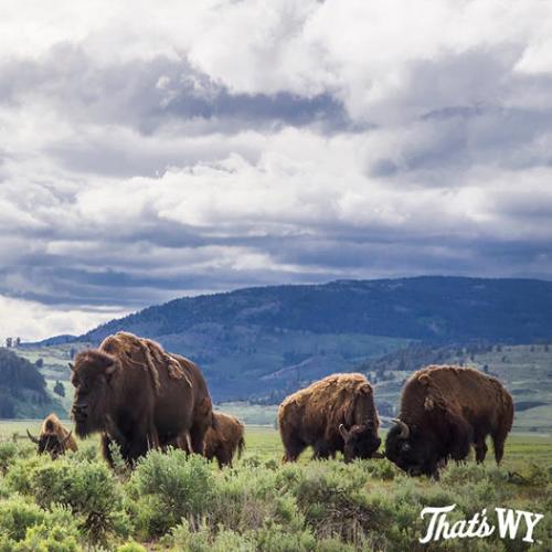 174448259_23847361187210300_3670034030226053226_n