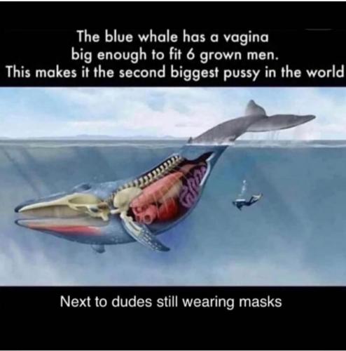 17:03:20 GMT-0400 (EDT).image