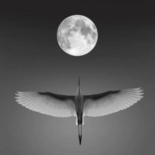 tumblr_31748f2688d07481f206aeef91d291f8_f8c6dda2_540