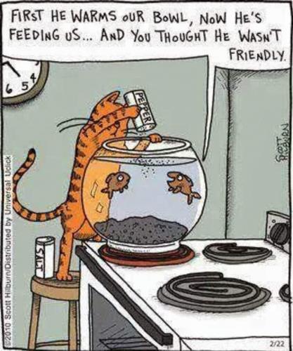 12:26:56 GMT-0500 (CDT)