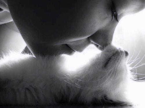 07:34:31 GMT-0500 (CDT)