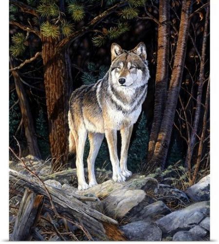 20:54:19 GMT-0500 (CDT)