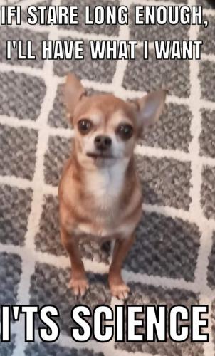 01:20:32 GMT-0400 (EDT)