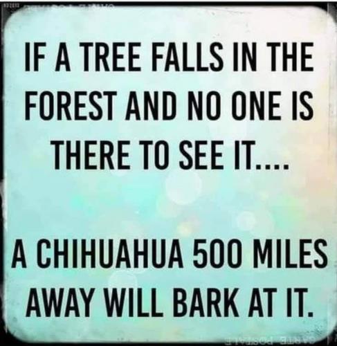 10:21:10 GMT-0400 (EDT)