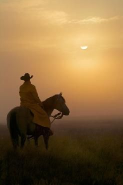 d2be5a8100cb956264d3b9f684b11fb2