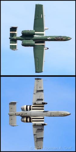 187574701_310202570675297_1546347904604667541_n